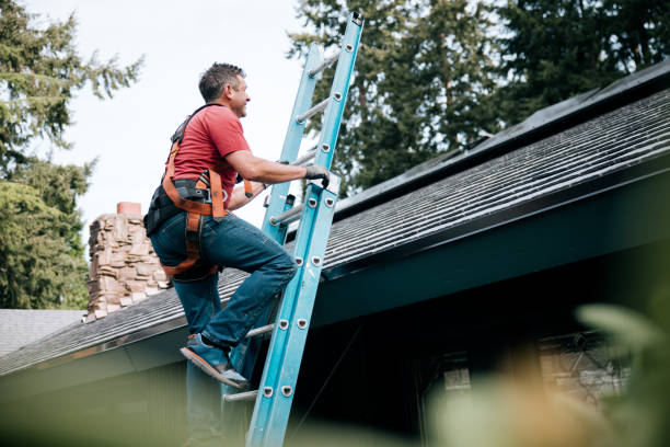 Roof Insulation Installation in Garden City, ID